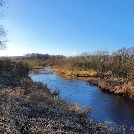 6 Person In Nyaraló *
